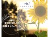 【暑い夏を乗り切ろう！応援クーポン】Asuca黄土漢方よもぎ蒸し　45分