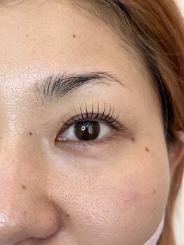 ダーム ド ローズ(Dame de rose)/【まつ毛パーマ】