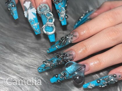 カメリア(Camelia)の写真