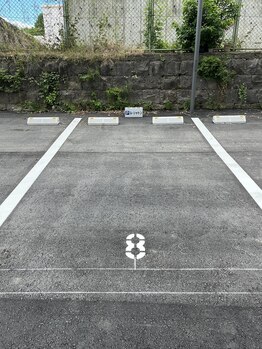 ルシャトン(Le Chaton)/