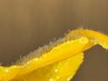 【美肌への近道♪】スキンケアフェイシャルWAX　11000円→9900円