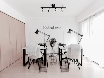 ニディアルツリー(Nideal tree)の写真