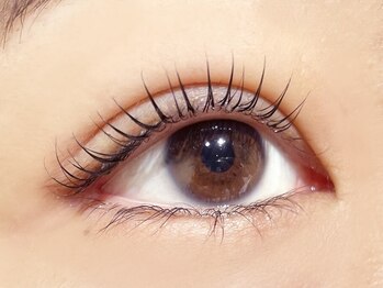 プレジールアイラッシュ 立川若葉店(Plaisir eyelash)/束間まつげパーマ[立川/東大和]