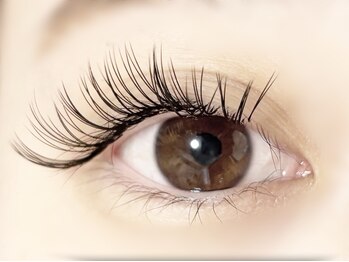 プレモ(Premo)/Wフラットラッシュ80束