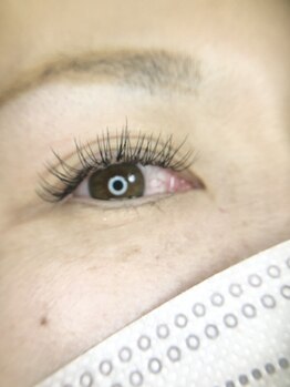 シェリ(SHERI)/フラットラッシュ120本