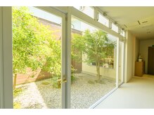 デイスパ ヴィータ/中庭