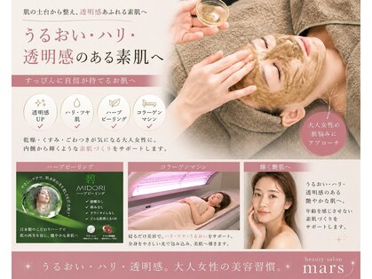 マーズ(mars)の写真