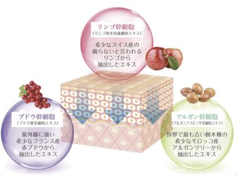 エスポワール(Espoir)/REVI主成分