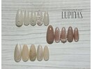 11月定額シンプルコース