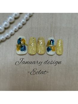 26年1月ハンドエクラ定額