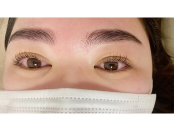 ヴィフ(Vif)/ハリウッドブロウ