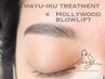 【眉の左右差解消♪】ハリウッド＋眉毛WAX(間引き可)+眉毛ふさふさ4TR 8200