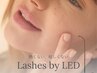 モチNO.1”【圧倒的な持続力】LEDフラットラッシュ☆１６０本