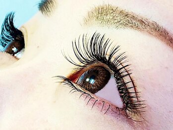 サティシア(SATIXIA)/MIX220本イメージ