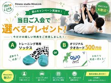 ミノリンク(MinoLink)