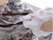 癒し×心身ケア＆メンテナンスが可能☆