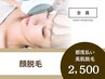 《女性/パーツ》お顔脱毛