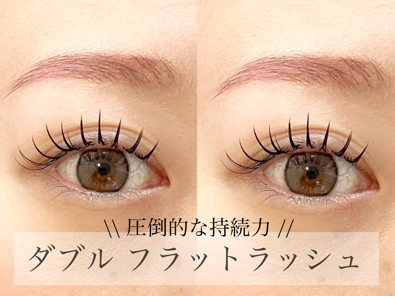 【圧倒的モチNo. 1☆☆☆】ダブルフラット80束まで（160本）