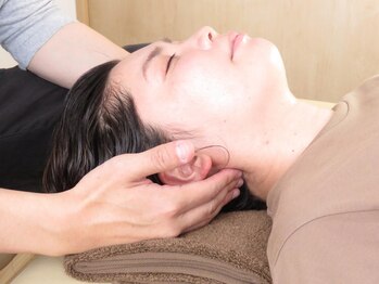 アンプ(amp)/後頭部