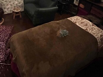 モアケア モアニケアラ(moanikeala)/モアケア moanikeala