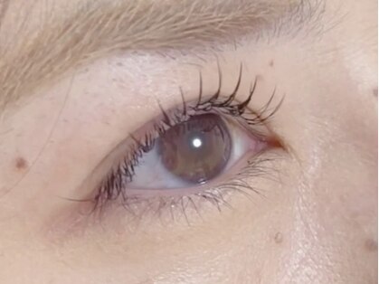 イスピリス(ESPERIS)の写真