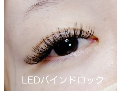 キャットウィンク(catwink)の写真