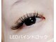 キャットウィンク(catwink)の写真