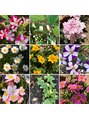 林整体療術院&nbsp;お花が好きです♪失敗もありますが、お庭、楽しんでください