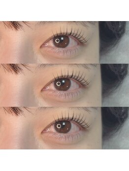 ラテ(latte)/【まつげ】ラッシュリフト