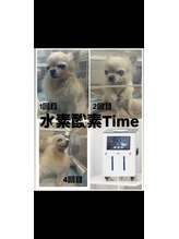 ヨサパーク メンソーレ(YOSA PARK)/水素酸素　ハイディーナ
