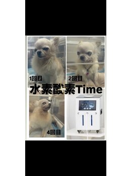 ヨサパーク メンソーレ(YOSA PARK)/水素酸素 ハイディーナ