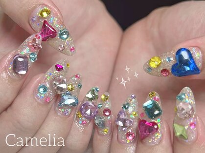 カメリア(Camelia)の写真