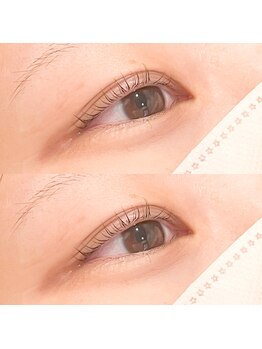 ベルファ バイ トゥルース 北国分店(Bellefee by TRUTH)/まつげパーマ/立ち上げカール