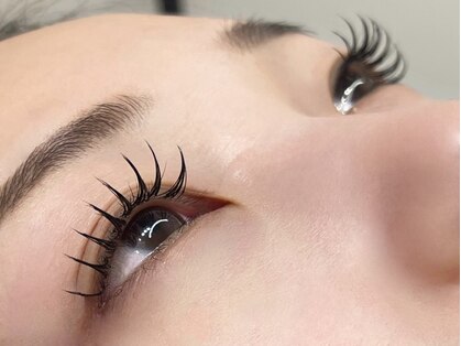 ノアイ(NOAe)の写真