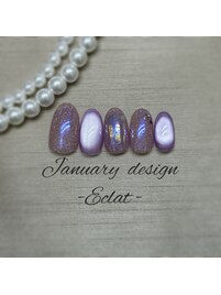 26年1月ハンドエクラ定額