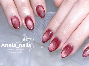 アネラ ネイルズ(Anela_nails)/マグネットワンカラー