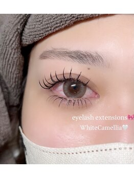 ホワイトカメリア 上本町店(White Camellia)/マツエクサロン/上下エクステ