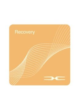 太陽整骨院/チューニングエレメント、来日