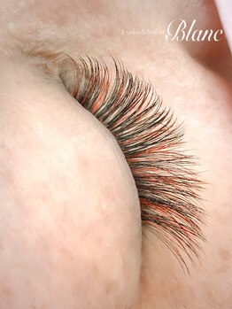 アイラッシュサロン ブラン イオン上越店(Eyelash Salon Blanc)/【4D】カラー