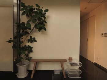 ヴィベル(vi Belle)/肌も心も整える大人時間