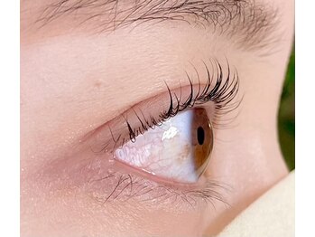 リアン ラッシュリフト(Lien LASHLIFT)/根本の立ち上げもカールも欲しい