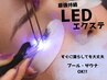 持続力1.5~2倍 LEDエクステ 60本 (前回から1ヶ月経過は+500円になります)
