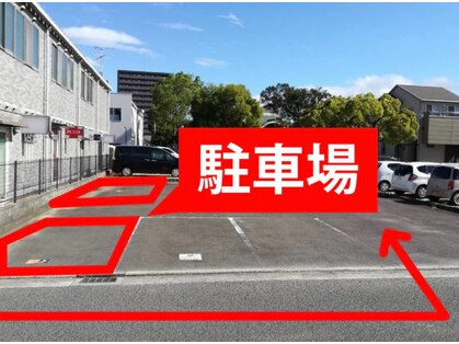 リバイブ(Revive)の写真