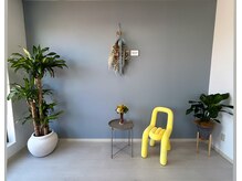 ビビディ(Bividy)/