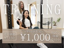 アイディール(IDEAL)