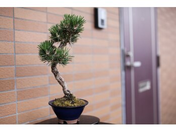 ジフィー(Gify)/入り口目印