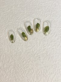 定額シンプルコース