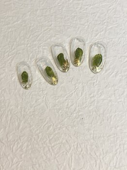 レイス(LEISS)/定額シンプルコース