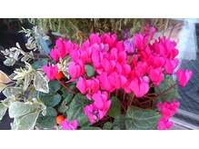 東神奈川整体院 バランス ケア カイロプラクティック(Balance Care)/外観