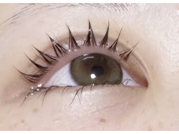 エム(M)/まつげパーマ/パリジェンヌ